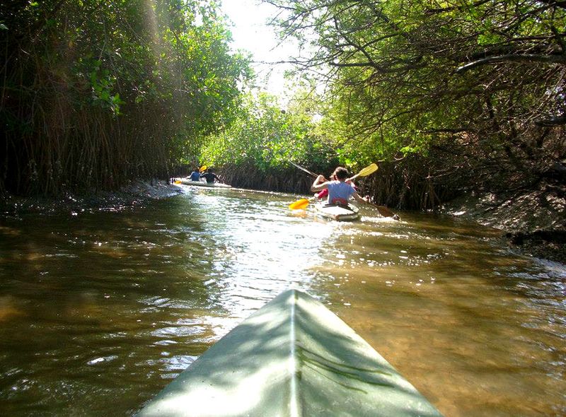 Per kayak door de Saloum delta